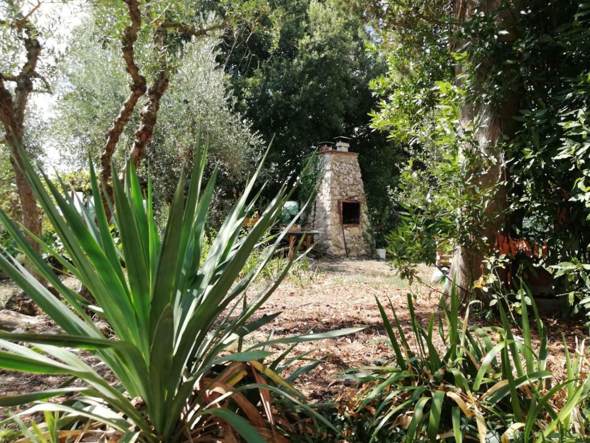 Apartamento Nel Chianti Lungo La Francigena Colle di Val d'Elsa Exterior foto